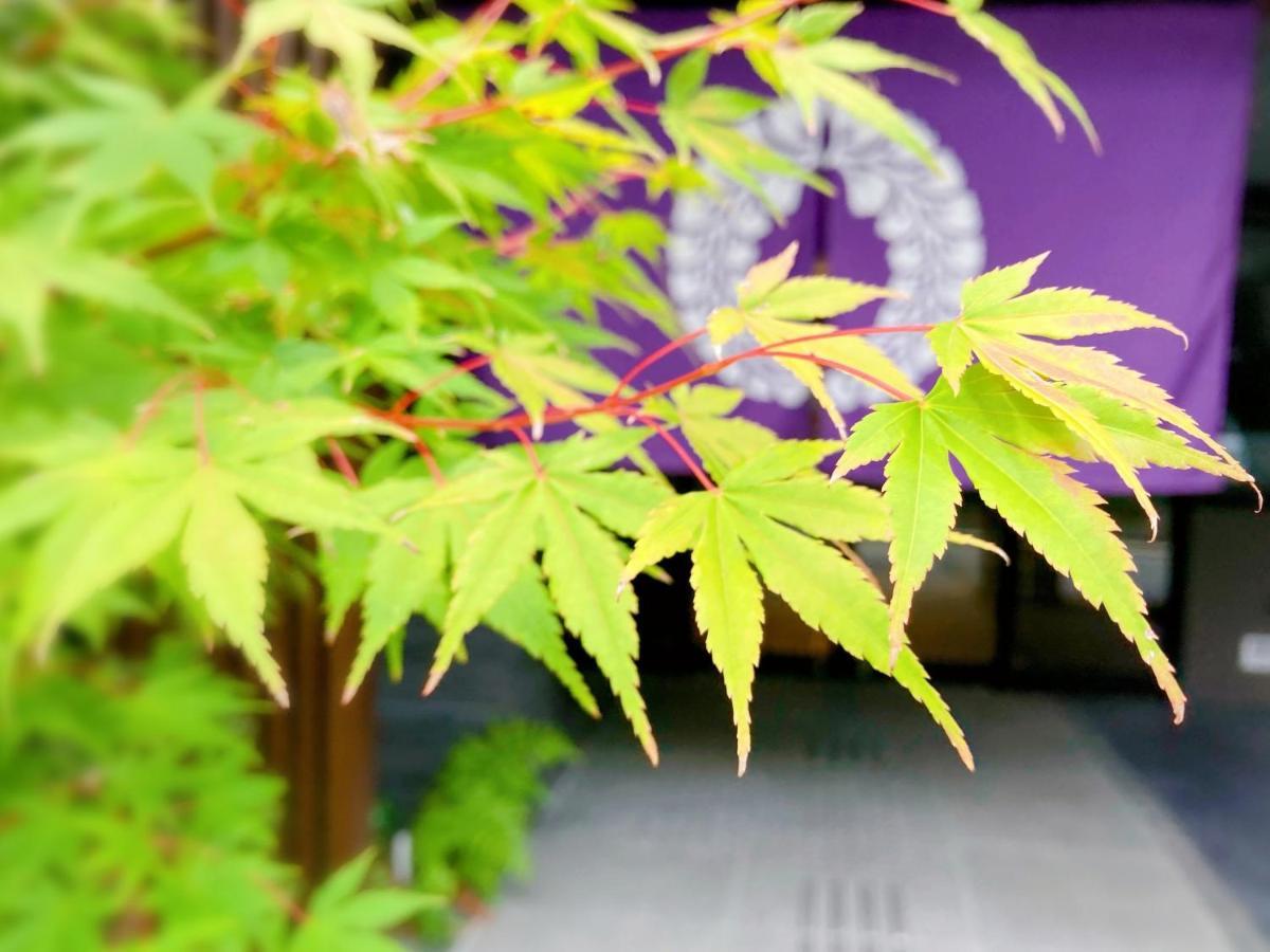 酒店 京都五条藤酒店 *